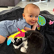 Camilo participe au concours pour gagner de l'argent avec cette photo : baby, child, cat, black_and_white_cat, toy, blanket, indoor, floor, smiling, cute, pet, sleeping_cat, lying_down, happy, infant, colorful_toy, fur, playtime, cozy, friendship