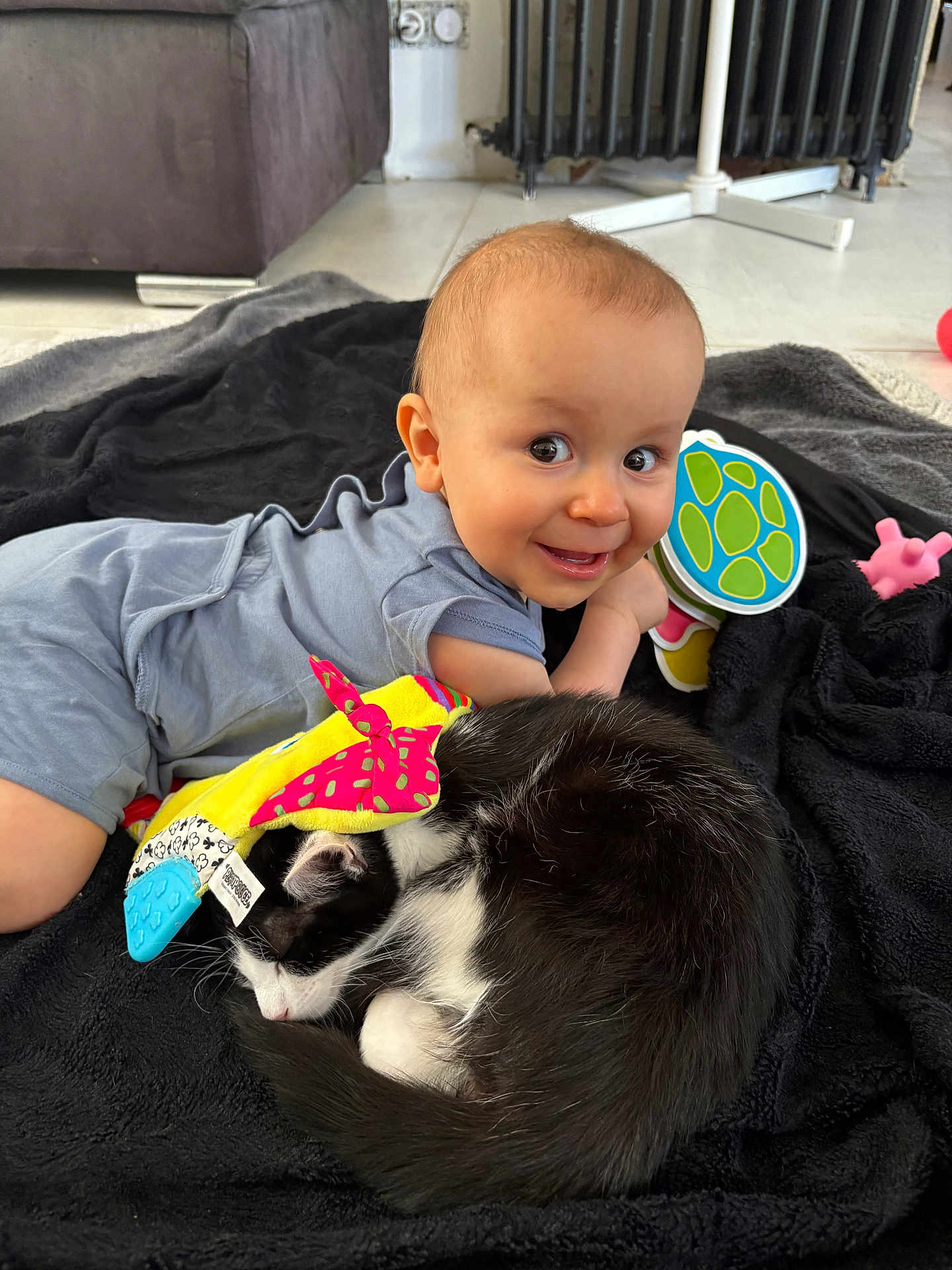 Camilo participe au concours pour gagner de l'argent avec cette photo : baby, child, cat, black_and_white_cat, toy, blanket, indoor, floor, smiling, cute, pet, sleeping_cat, lying_down, happy, infant, colorful_toy, fur, playtime, cozy, friendship