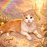 Caramel participe au concours pour gagner de l'argent avec cette photo : cat, orange_cat, white_cat, pet, feline, long_hair, lying_down, portrait, rainbow, clouds, heavenly_scene, golden_light, flowers, lilies, roses, candles, garden, ornate_gate, heart_shaped_plaque, fantasy