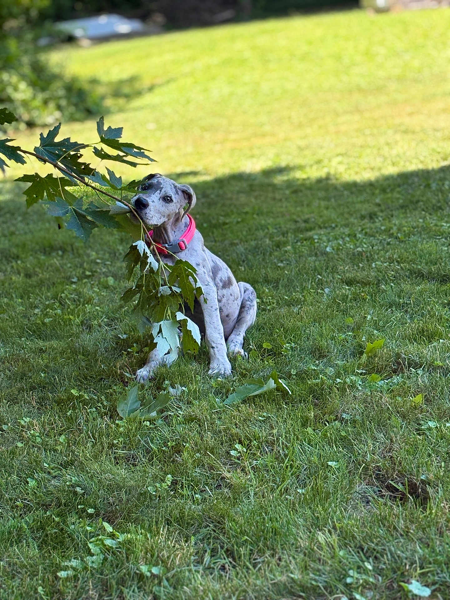 Ruby