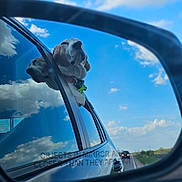 Wizard joined the competition — help win amazing prizes! animal, blue_sky, canine, car, clouds, collar, dog, happy, nature, outdoor, pet, reflection, road, road_trip, side_mirror, sunlight, transport, travel, vehicle, window