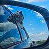 animal, blue_sky, canine, car, clouds, collar, dog, happy, nature, outdoor, pet, reflection, road, road_trip, side_mirror, sunlight, transport, travel, vehicle, window