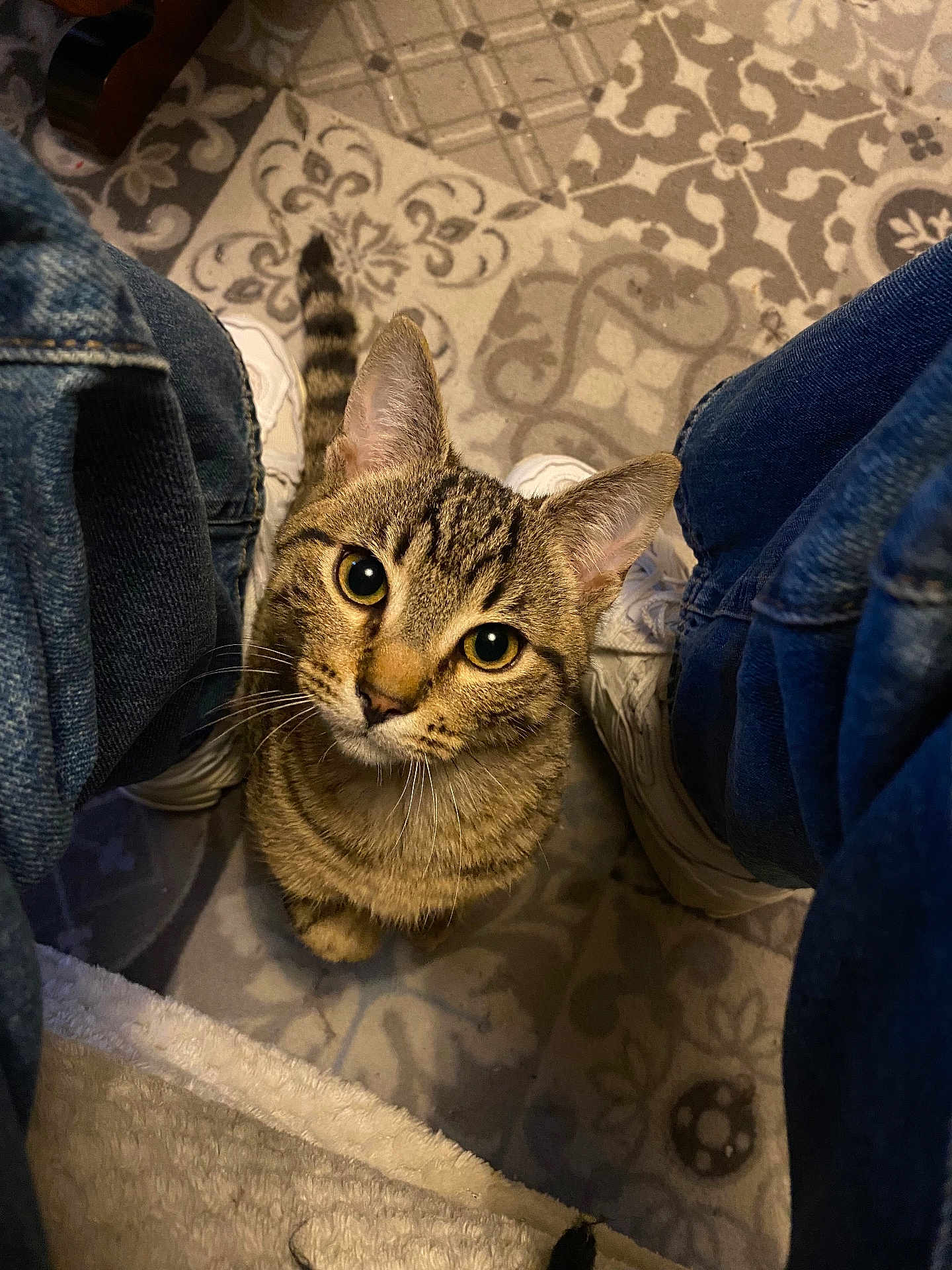 Mimi