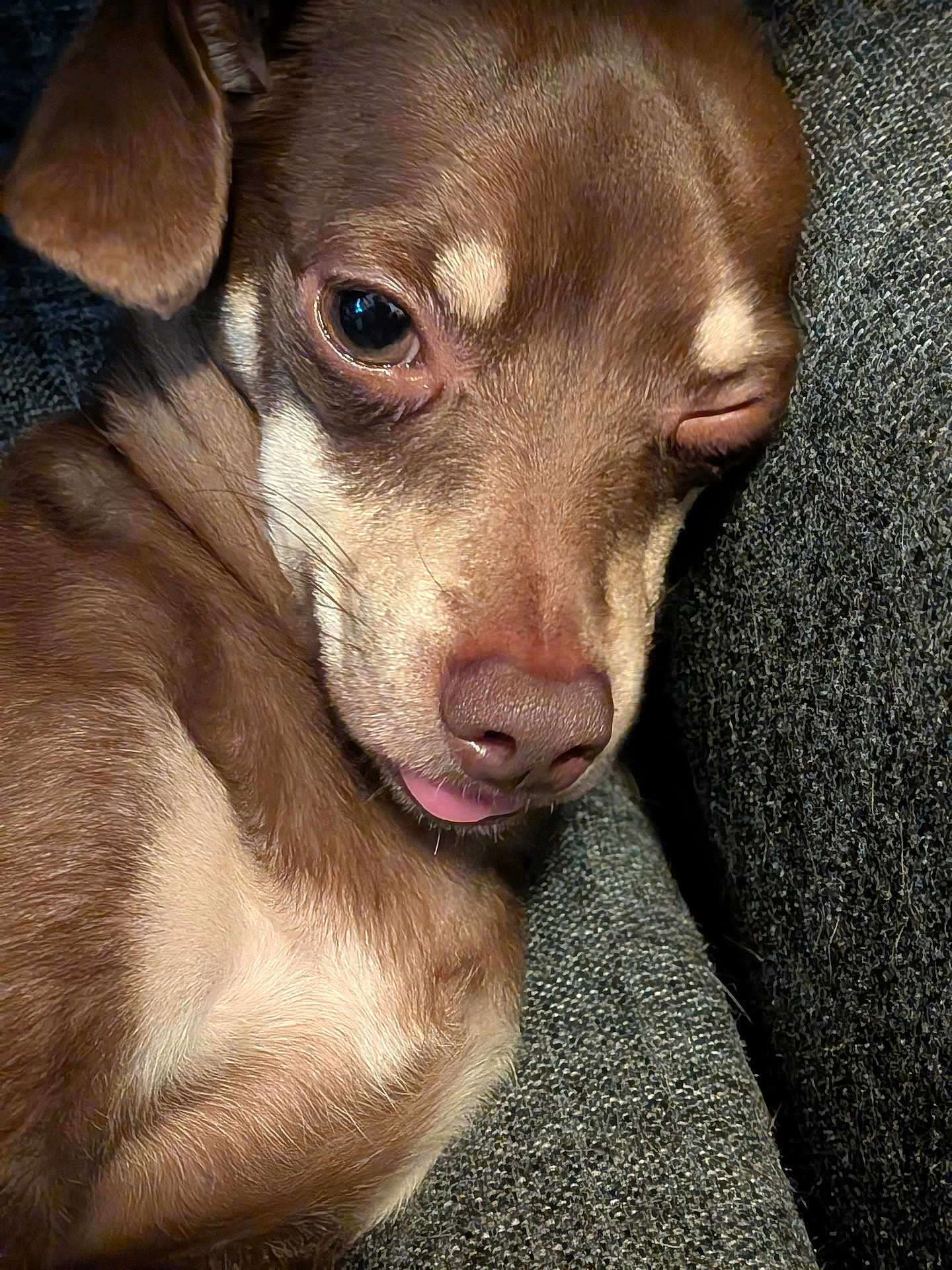 Taco