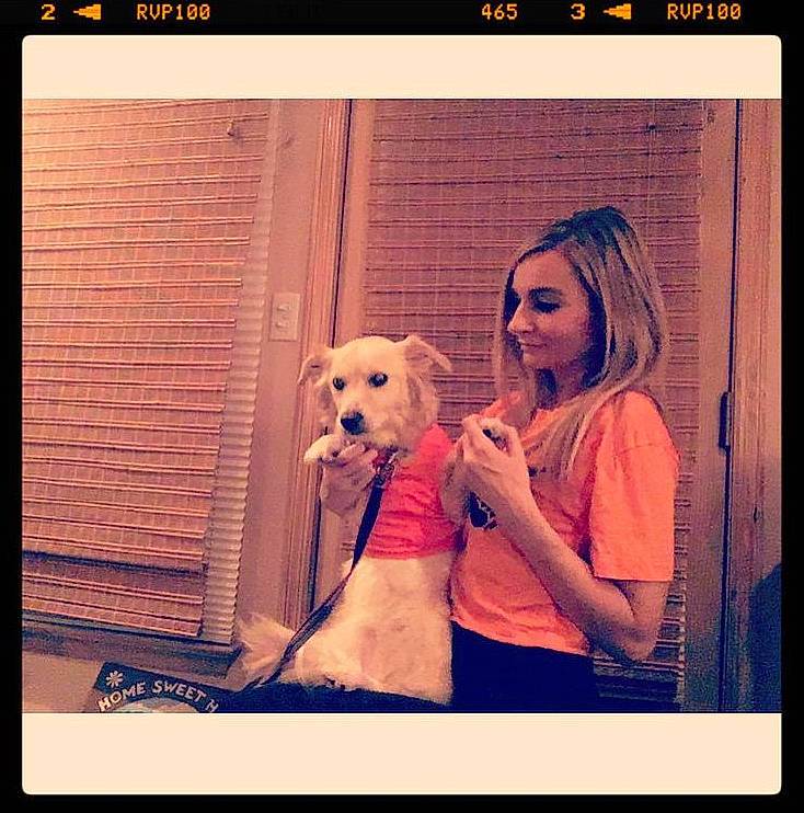 Libby is registered to the contest to win money with this photo: beauty, carnivore, companion_dog, dog, dog_breed, electronic_device, fawn, font, happy, lighting, pink, poodle, rectangle, room, selfie, square, technology, tints_and_shades, toy, toy_dog