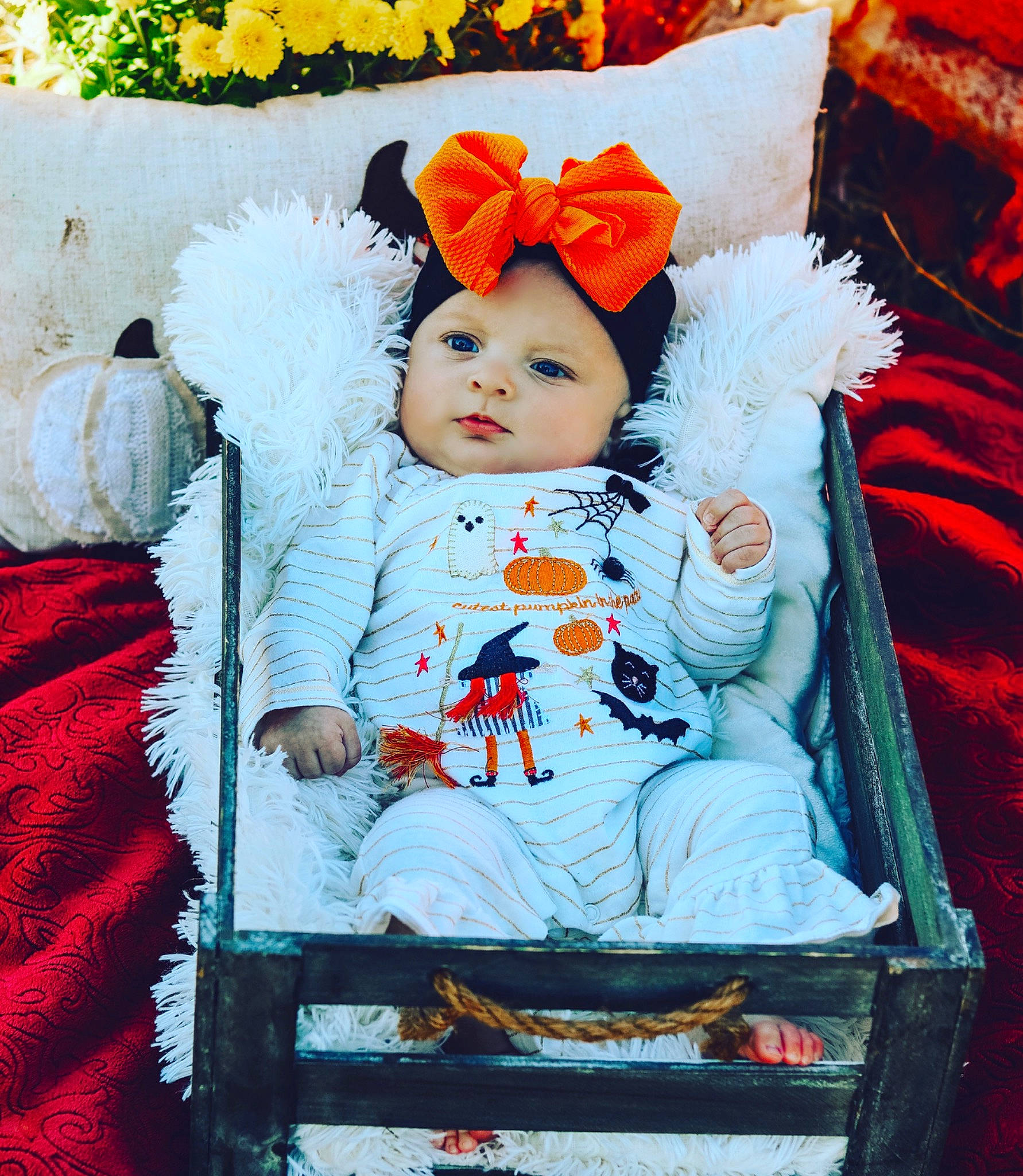 Everleigh is registered to the contest to win money with this photo: baby, baby_products, baby_toddler_clothing, cheek, child, hair_accessory, headwear, person, plant, product, red, toddler