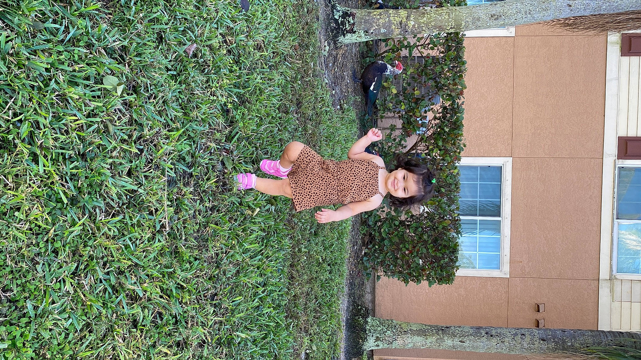 Laura joined the competition — help win amazing prizes! building, facade, fun, garden, grass, groundcover, house, joy, leisure, people_in_nature, person, plant, recreation, shrub, tree, window, yard