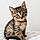 Berlioz