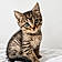 Berlioz
