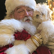 Lulu is registered to the contest to win money with this photo: santa, dog, pet, christmas, beard, fur, santa_hat, glasses, gloves, red_coat, festive, portrait, holiday_lights, cute, smile, holding, white_fur_trim, costume, indoor, adorable