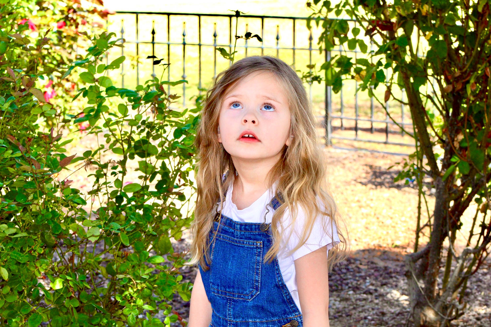 Paisley joined the competition — help win amazing prizes! botany, clothing, eye, face, facial_expression, fun, grass, hairstyle, happy, head, iris, leaf, leisure, lip, people_in_nature, person, plant, skin, summer, sunlight