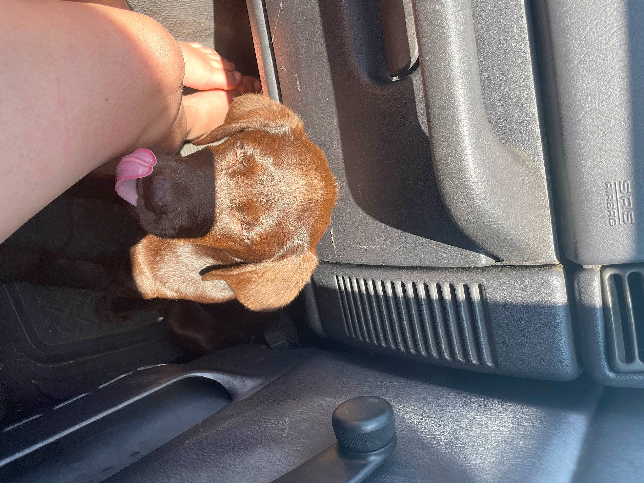 Daytona is registered to the contest to win money with this photo: auto_part, automotive_design, automotive_exterior, automotive_window_part, car, car_seat, car_seat_cover, family_car, finger, fixture, hand, human_leg, luxury_vehicle, motor_vehicle, nail, personal_luxury_car, thumb, vehicle, vehicle_door, windshield