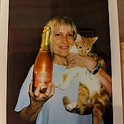Ziggy participe au concours pour gagner de l'argent avec cette photo : blonde, bottle, bracelet, casual_clothing, cat, celebration, champagne, feline, happy, holding, human, indoor, orange_cat, person, pet, portrait, short_hair, smile, white_cat, woman