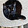 Tippi