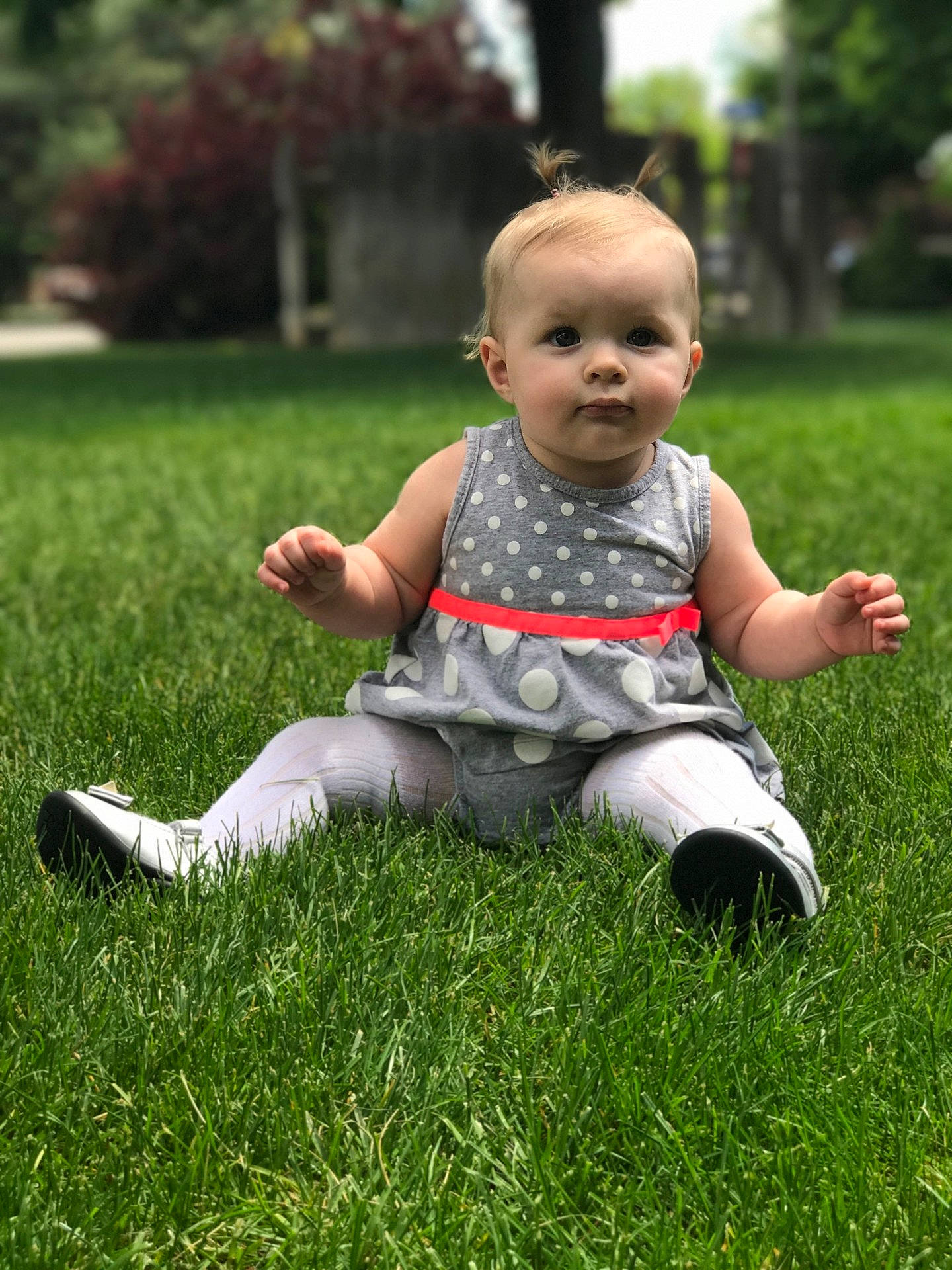 Lilly-ann is registered to the contest to win money with this photo: child, fun, garden, grass, grass_family, infant, lawn, person, plant, play, product, sitting, toddler, tree