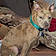 Maisy-Daisey