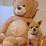 animal, blanket, brown_dog, companion, couch, cozy, cute, dog, friendship, fur, home, indoor, pet, plush, relaxed, sitting, small_dog, stuffed_animal, teddy_bear, toy