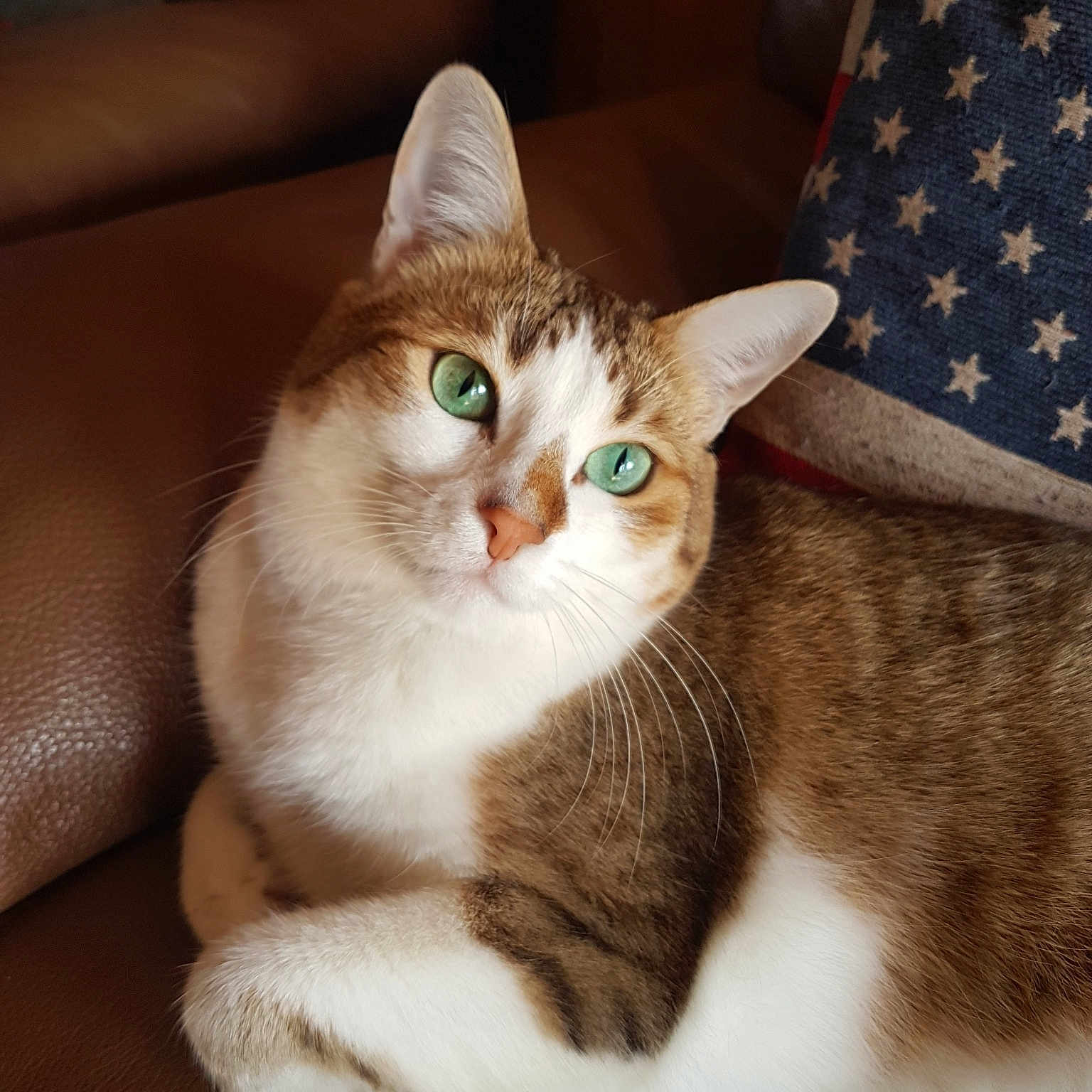 Jasmine