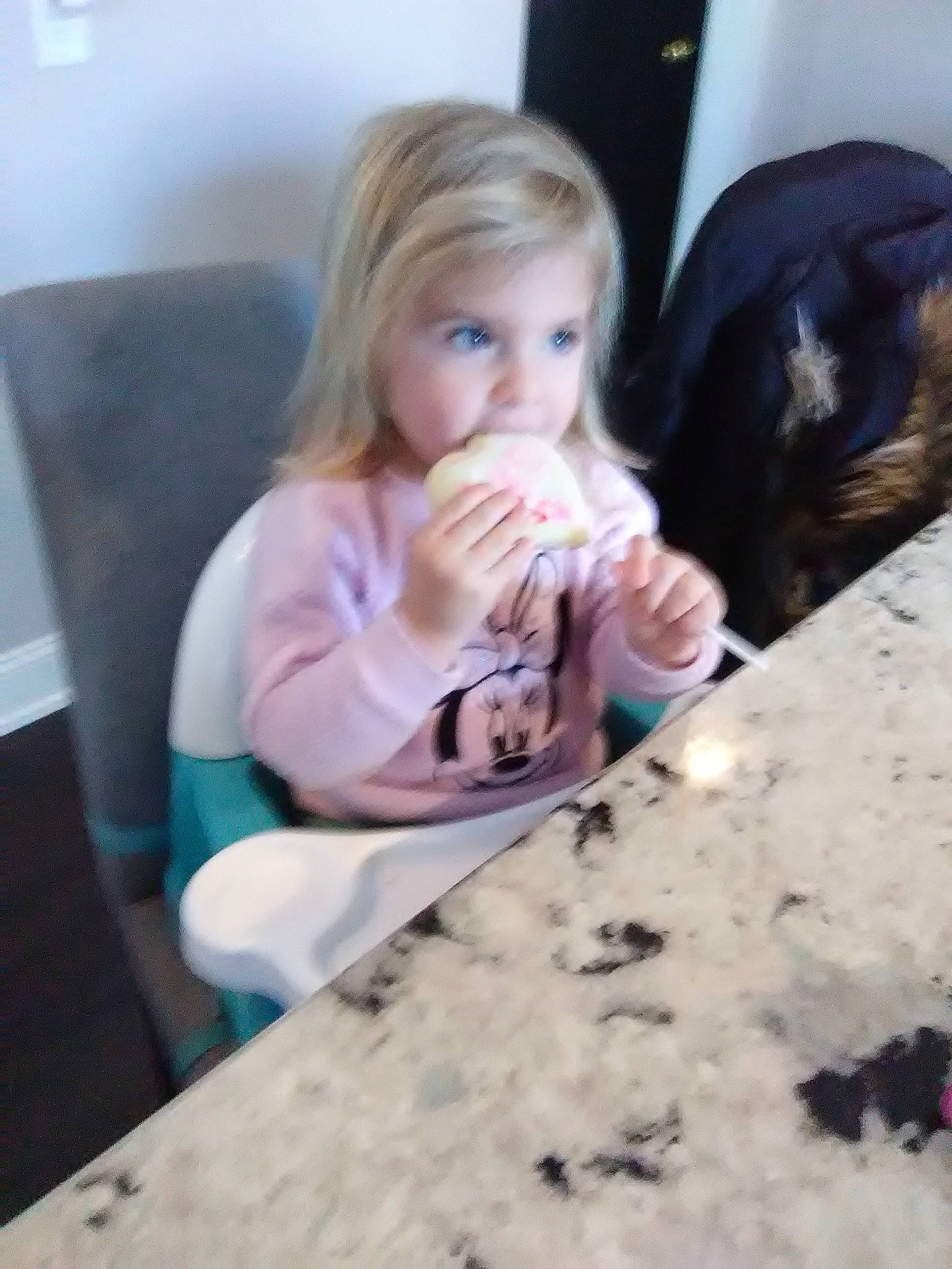 Macy is registered to the contest to win money with this photo: blond, brown_hair, chair, child, comfort, felidae, flooring, fun, fur, hair, leisure, linens, long_hair, person, play, room, sitting, table, tableware, toddler