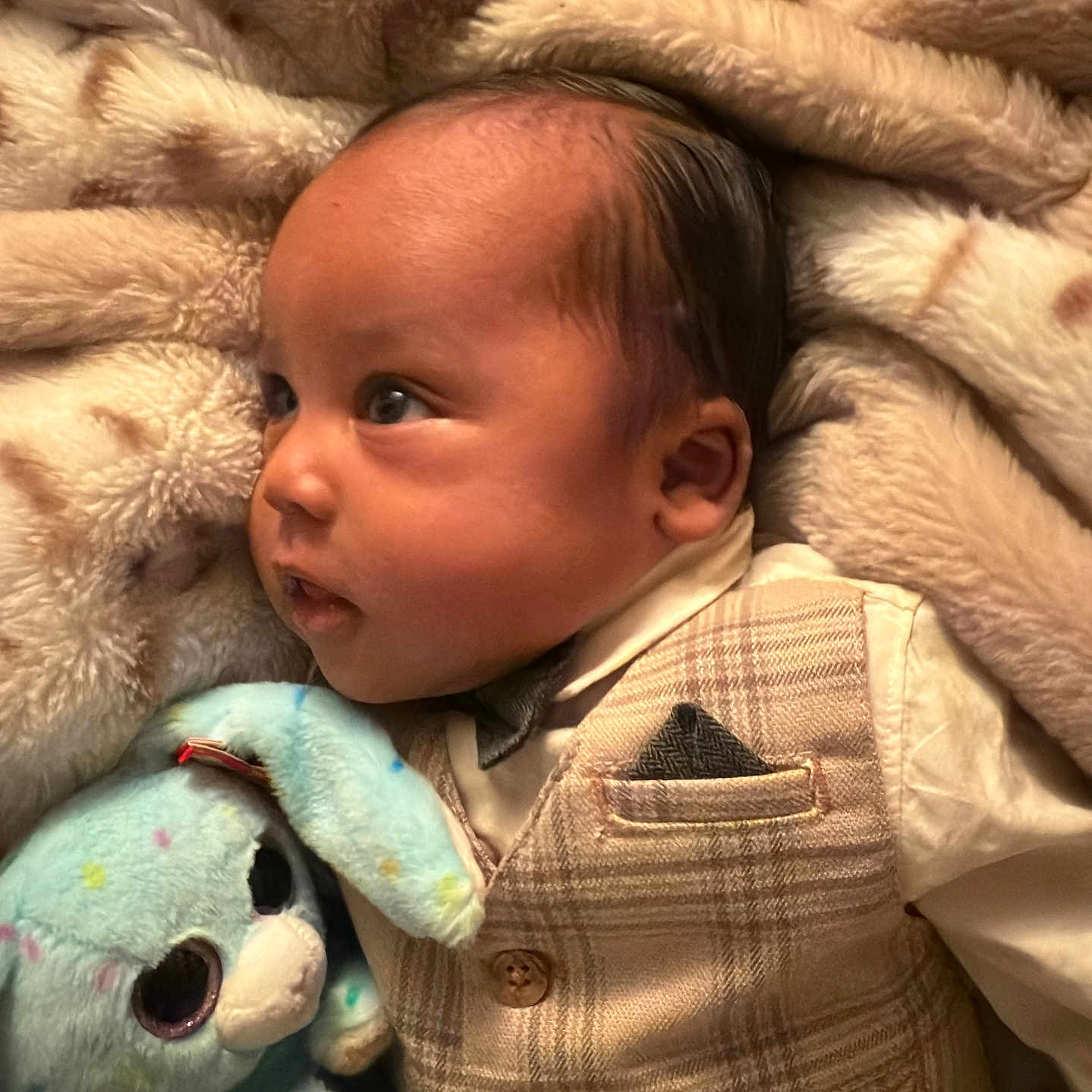 Quincy joined the competition — help win amazing prizes! adorable, baby, blanket, blue_bunny, bow_tie, child, close_up, comfort, cuddly, cute, indoors, infant, plush_toy, portrait, resting, sleepwear, soft_texture, vest, warm, young_child