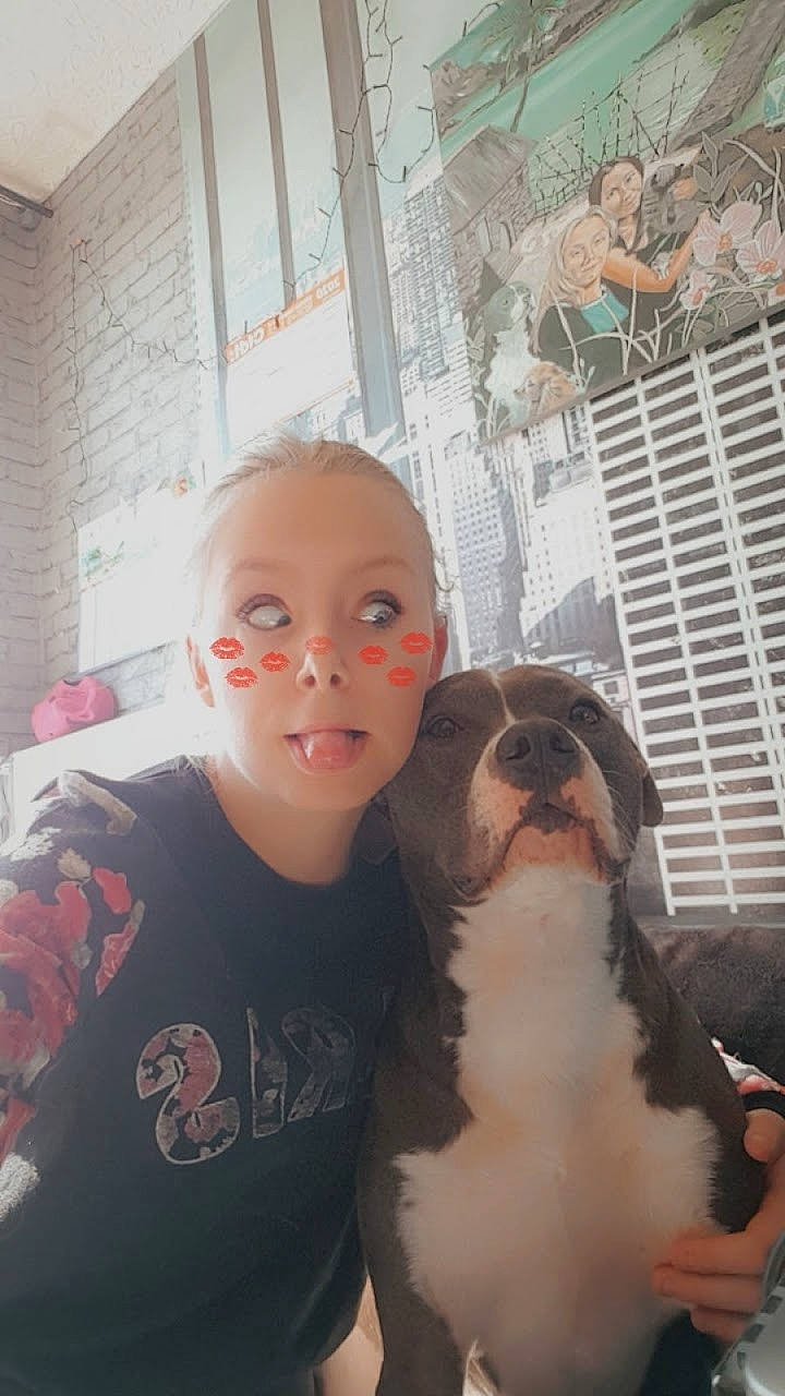 Bandy a rejoint le concours — aidez-le/la à gagner de superbes lots ! canidae, carnivore, companion_dog, dog, dog_breed, non_sporting_group, nose, pit_bull, puppy_love, selfie, shih_tzu, sporting_group