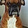 Scrappy Doo