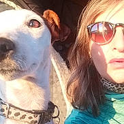 Stella participe au concours pour gagner de l'argent avec cette photo : american_pit_bull_terrier, canidae, carnivore, companion_dog, cool, dog, dog_breed, dog_walking, eyewear, fawn, glasses, head, nose, photography, pit_bull, puppy_love, selfie, smile, snout, sunglasses