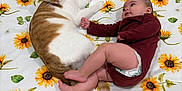Elianna joined the competition — help win amazing prizes! baby, cat, crib, sunflower_pattern, diaper, maroon_clothing, infant, pet, animal, child, cute, resting, indoor, feline, toddler, bed, playful, cozy, sleepy, touching