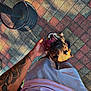 dog, person, tattoo, hand, pavement, shadow, tongue_out, petting, shorts, tshirt, outdoor, footwear, happy, animal, companion, summer, casual, colorful, tiles, leash