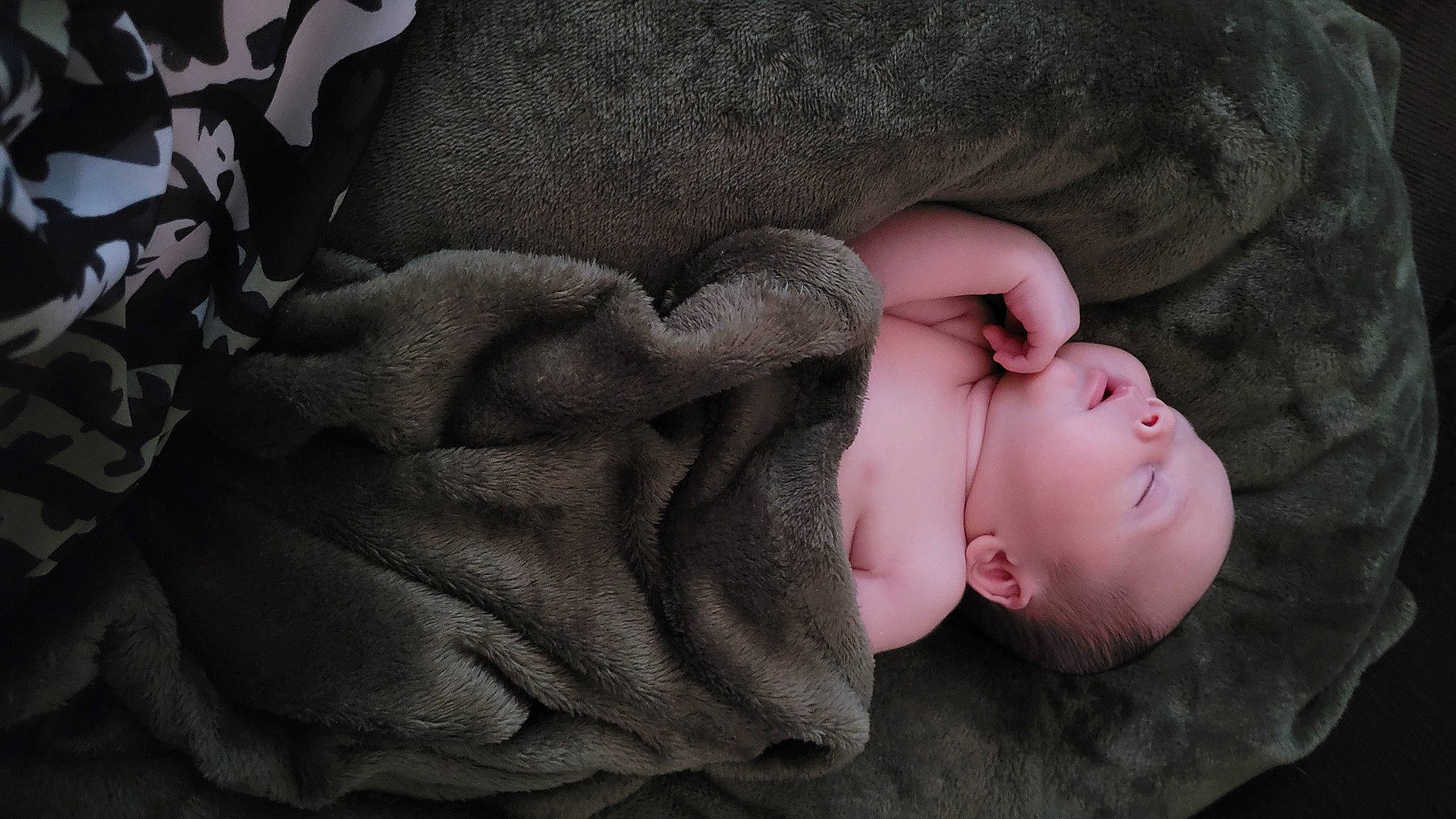 Mohann participe au concours pour gagner de l'argent avec cette photo : baby, cheek, child, comfort, doll, eye, eyelash, flash_photography, fur, grey, headgear, human_body, linens, nose, person, sitting, textile, toddler, tree, wood