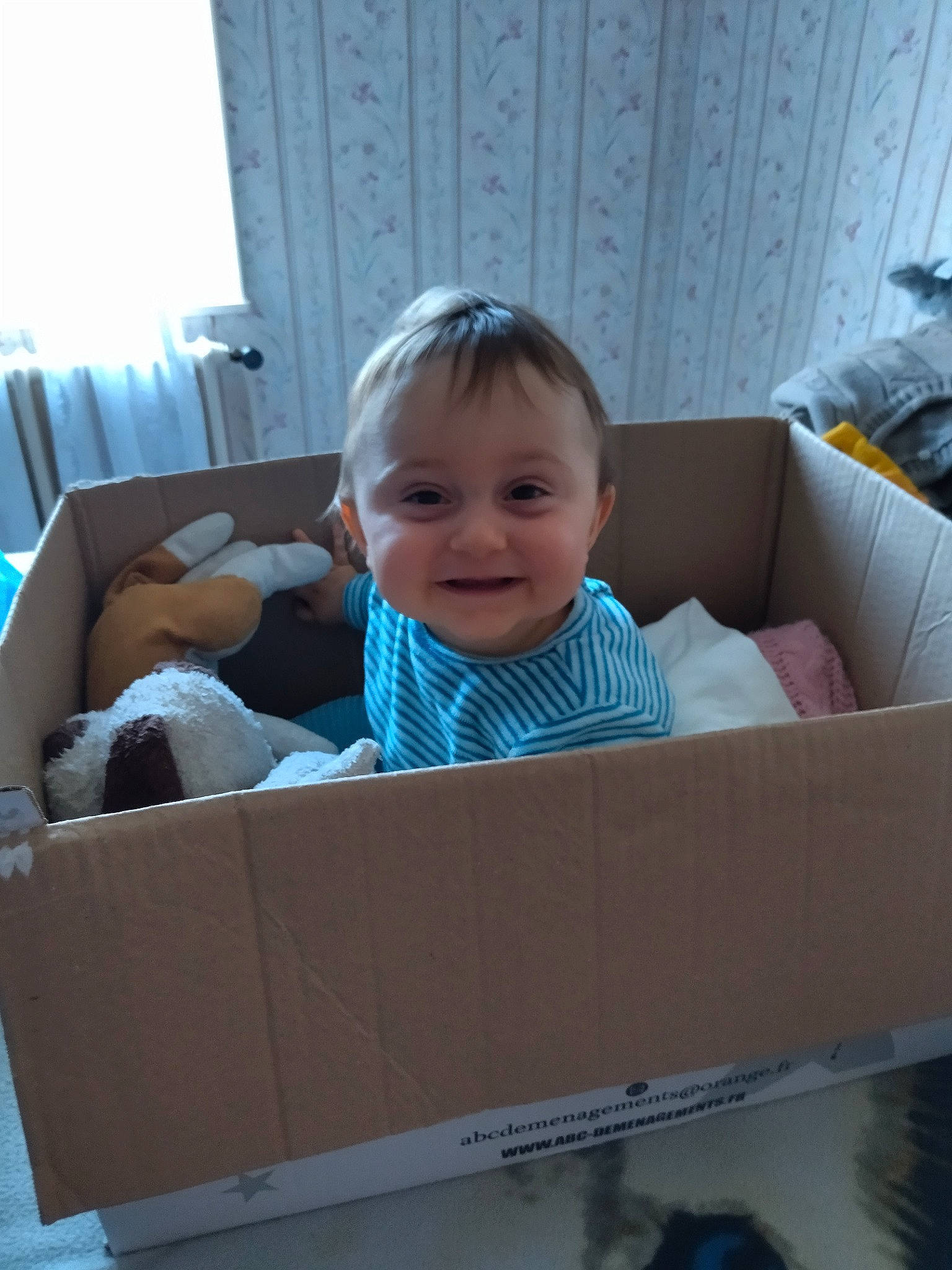 Tyago a rejoint le concours — aidez-le/la à gagner de superbes lots ! baby, baby_laughing, baby_toddler_clothing, box, cardboard, carton, child, comfort, couch, fun, home, joy, packaging_and_labeling, packing_materials, person, property, room, shipping_box, sitting, smile