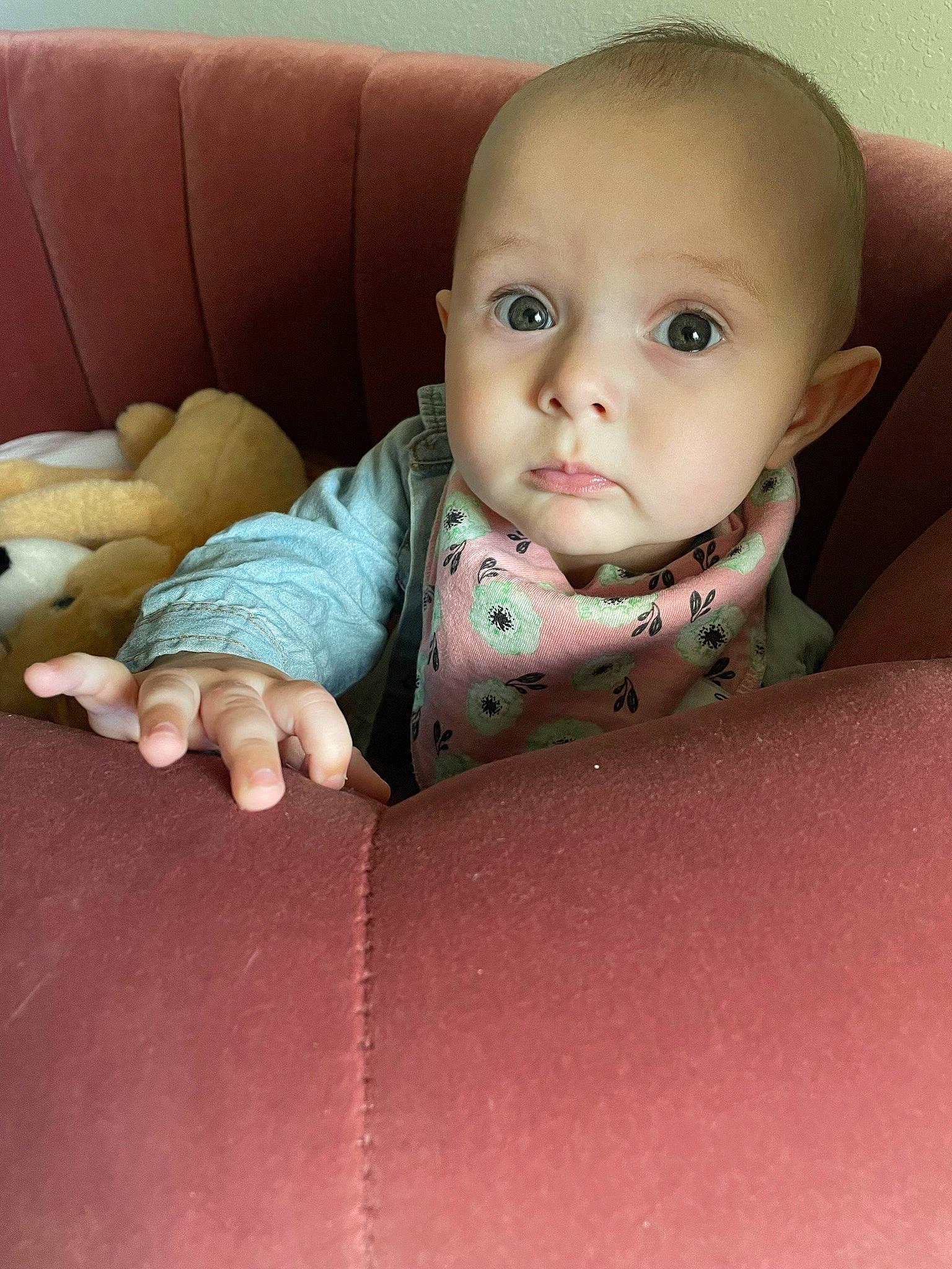 Gracelyn is registered to the contest to win money with this photo: baby, baby_toddler_clothing, cheek, comfort, eyebrow, eyelash, finger, gesture, iris, linens, lip, mammal, mouth, neck, nose, person, skin, sleeve, textile, toddler