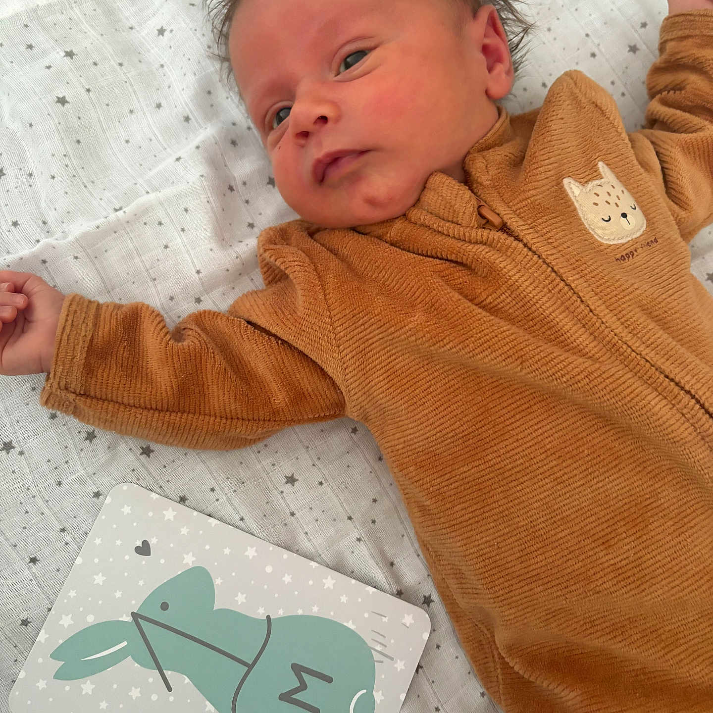Noah participe au concours pour gagner de l'argent avec cette photo : baby, blanket, brown_clothing, bunny, card, child, cute, face, hair, illustration, indoors, infant, lying_down, onesie, peaceful, skin, sleepwear, soft_texture, star_pattern, young