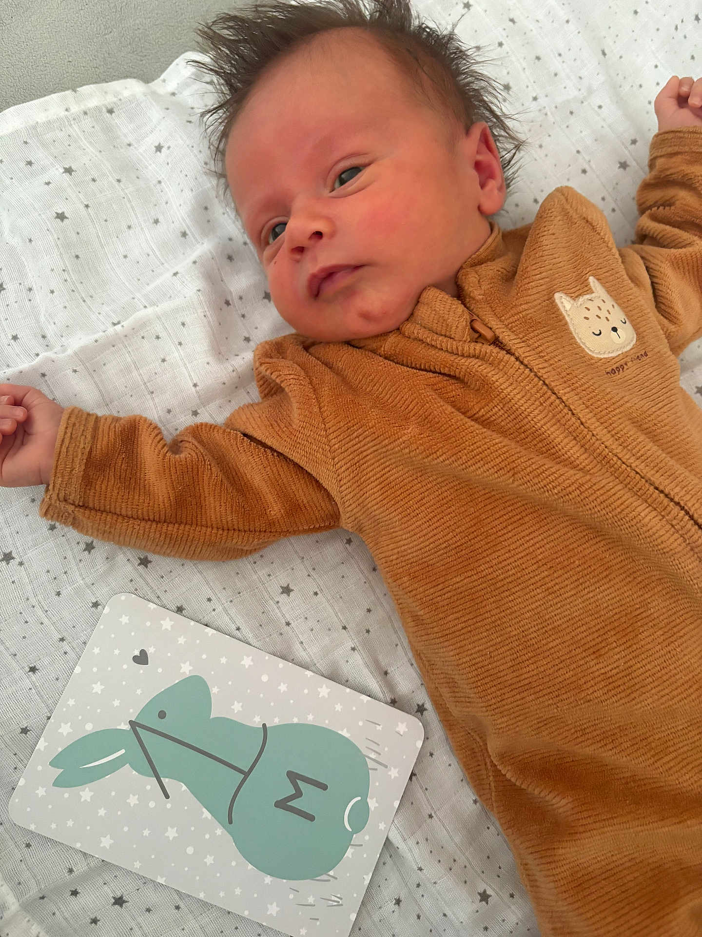 Noah participe au concours pour gagner de l'argent avec cette photo : baby, infant, onesie, brown_clothing, blanket, star_pattern, card, illustration, bunny, hair, lying_down, cute, soft_texture, child, indoors, sleepwear, young, skin, face, peaceful