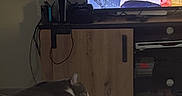 Spooky participe au concours pour gagner de l'argent avec cette photo : cat, cords, cushion, electronics, furniture, gaming_console, headphones, indoor, living_room, man, person, pet, relaxation, resting, screen, sleeping, technology, television, white_shirt, wooden_cabinet