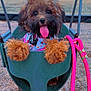 Mocha is registered to the contest to win money with this photo: dog, puppy, fluffy, swing, playground, leash, green_swing, outdoor, wood_chips, pink_leash, tongue_out, collar, cute, pet, animal, furry, happy, play, heart_emoji, closeup