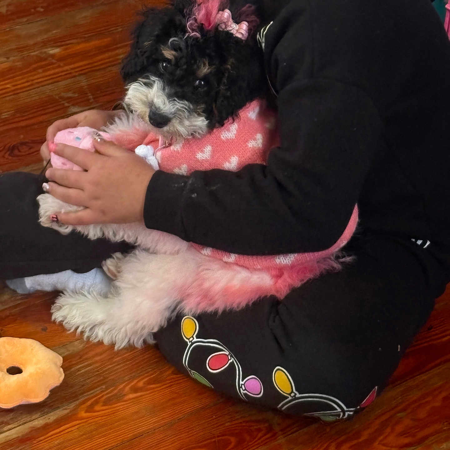 Nala is registered to the contest to win money with this photo: animal, black_clothing, bow, caring, child, comfort, cozy, cute, dog, fluffy, heart_pattern, hug, indoor, pet, pink_sweater, playful, sitting, toy, wooden_floor, young