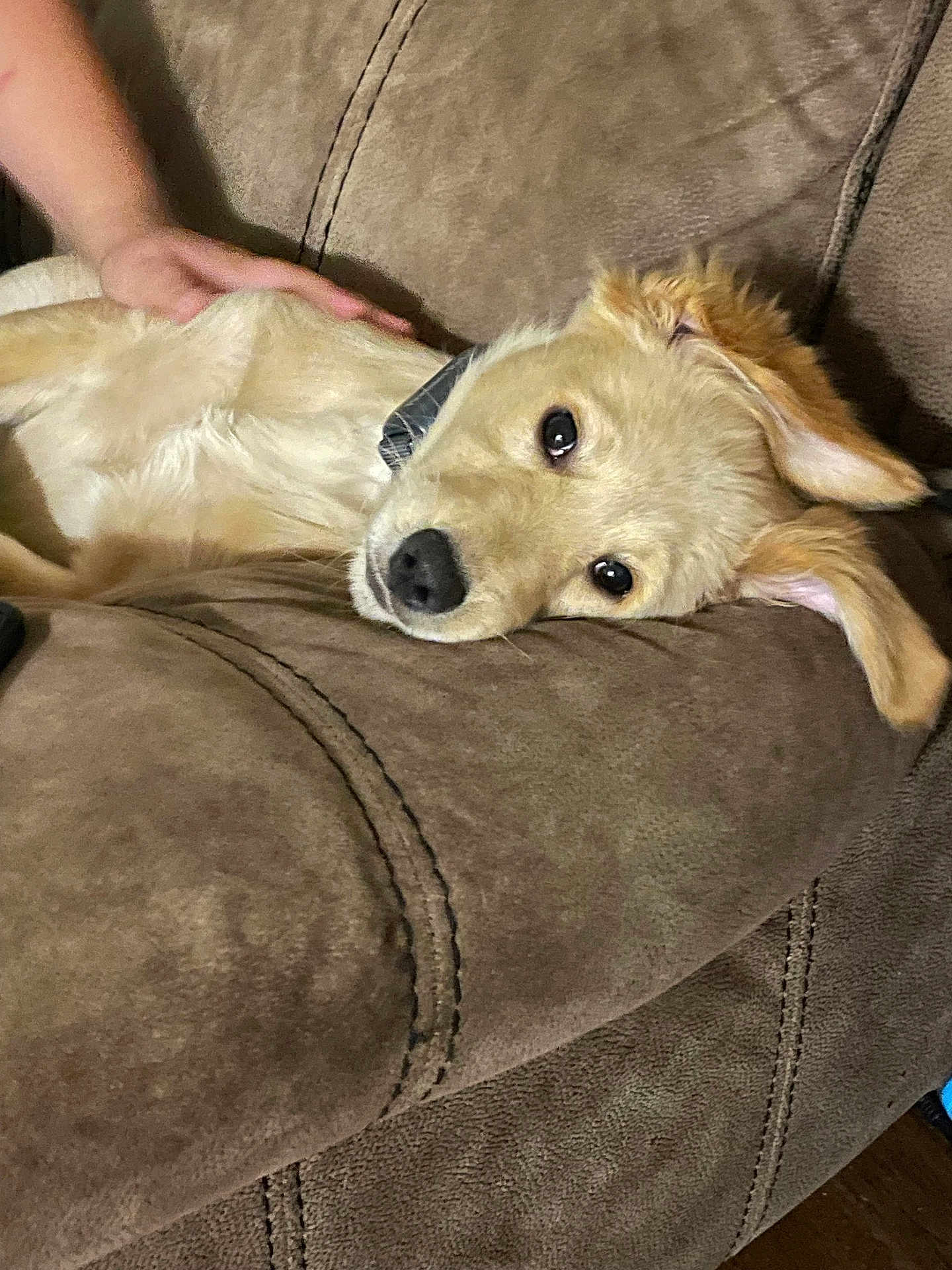 Lucy