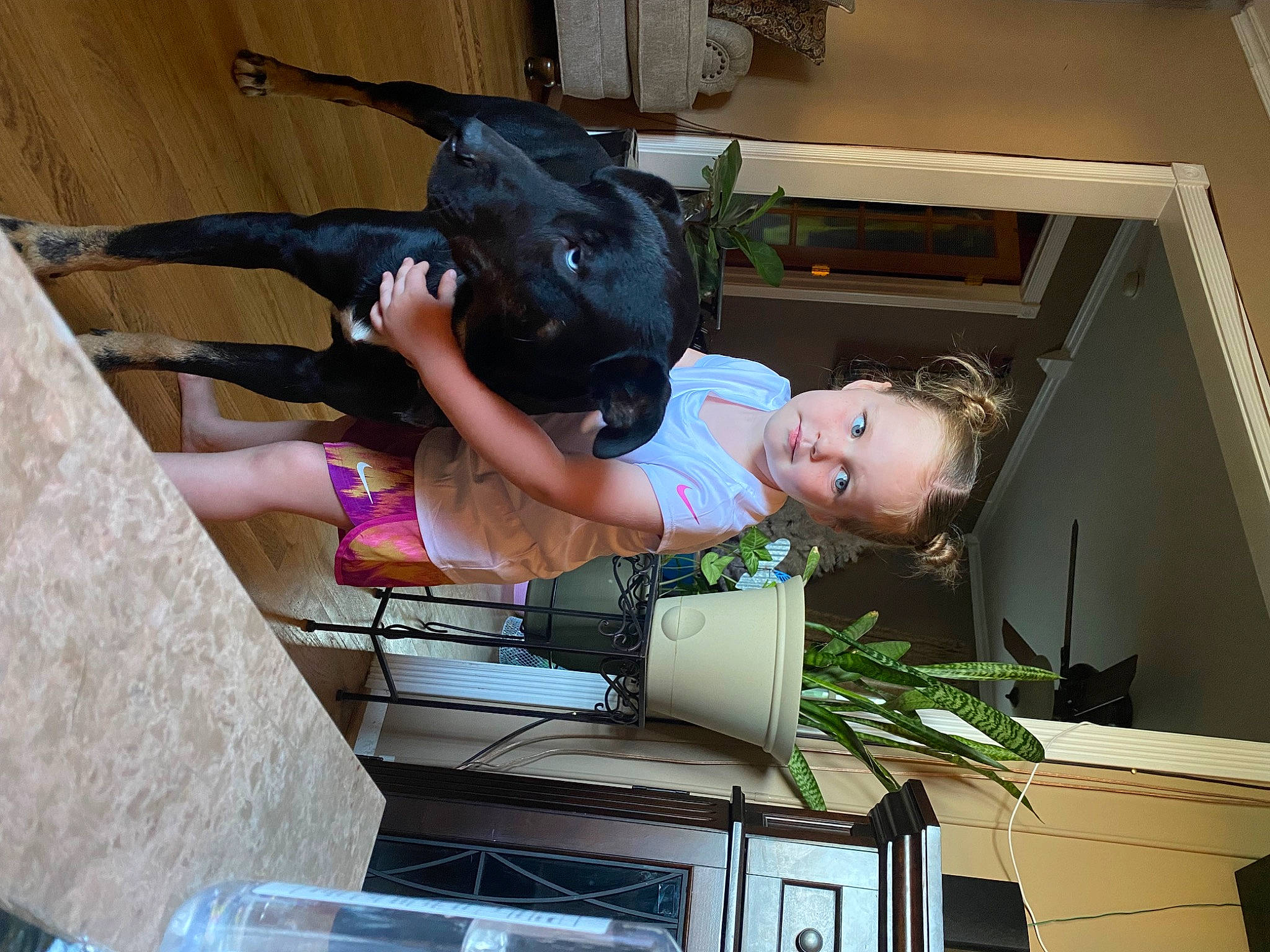 Dyson joined the competition — help win amazing prizes! building, child, fun, hat, house, houseplant, plant, room, thigh, toddler, window, wood