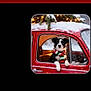 Pepper Marcum is registered to the contest to win money with this photo: animal, black_and_white, celebration, christmas_lights, cold_weather, cute, decorations, dog, festive, holiday, outside, pet, portrait, red_car, scarf, seasonal, snow, vintage_car, window, winter