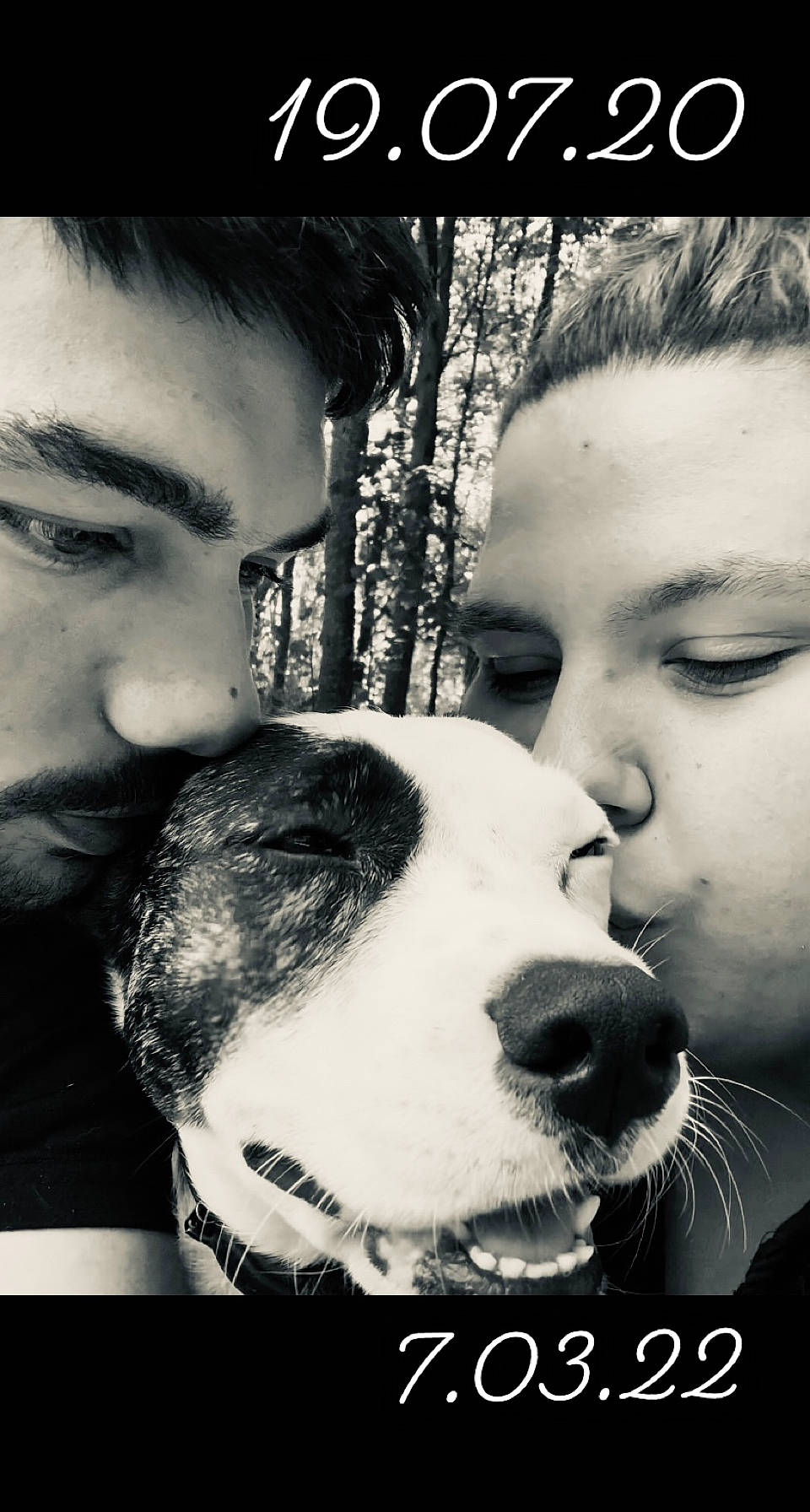 Shanna participe au concours pour gagner de l'argent avec cette photo : black, black_and_white, carnivore, companion_dog, cool, dog, dog_breed, eyelash, facial_expression, flash_photography, gesture, happy, head, interaction, jaw, nose, people_in_nature, photograph, smile, style