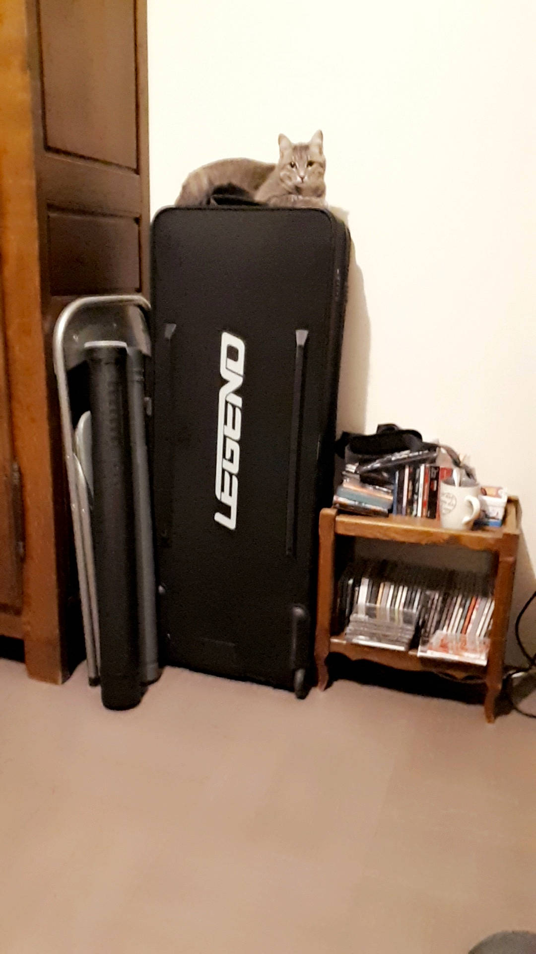 Zezette a rejoint le concours — aidez-le/la à gagner de superbes lots ! camera_accessory, electronic_instrument, musical_instrument, product