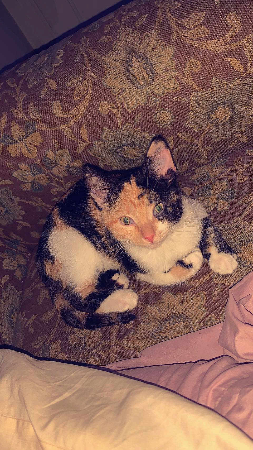 Precious