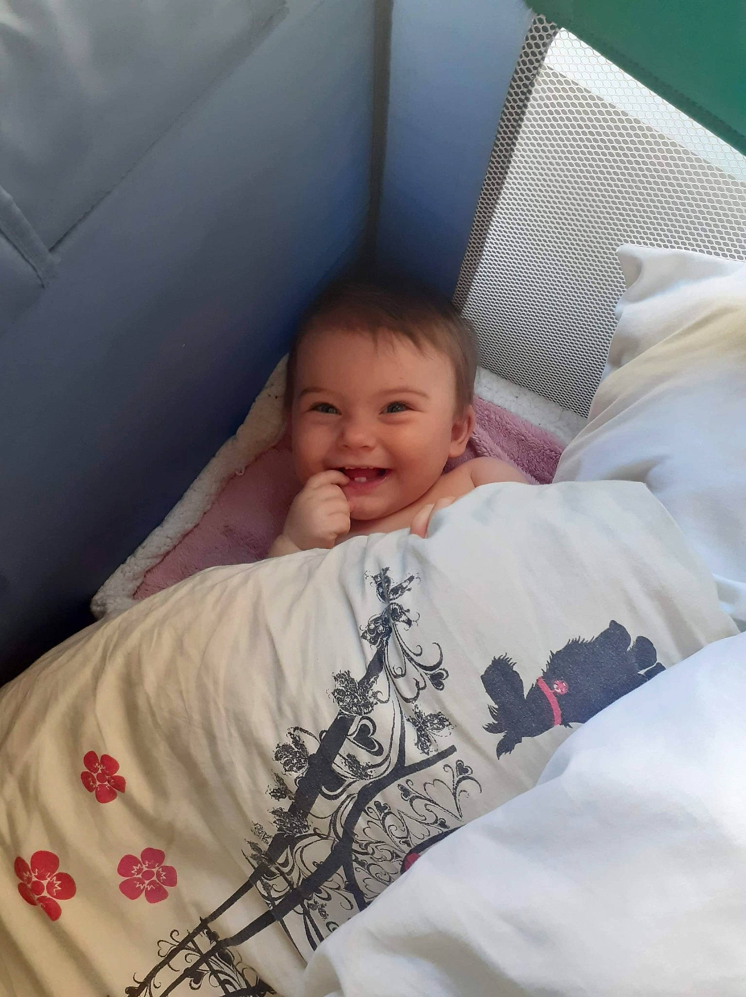 Jade a rejoint le concours — aidez-le/la à gagner de superbes lots ! baby, baby_products, bed, bedding, bedtime, birth, blanket, cheek, child, comfort, furniture, infant_bed, joy, linens, nap, person, product, skin, sleep, textile