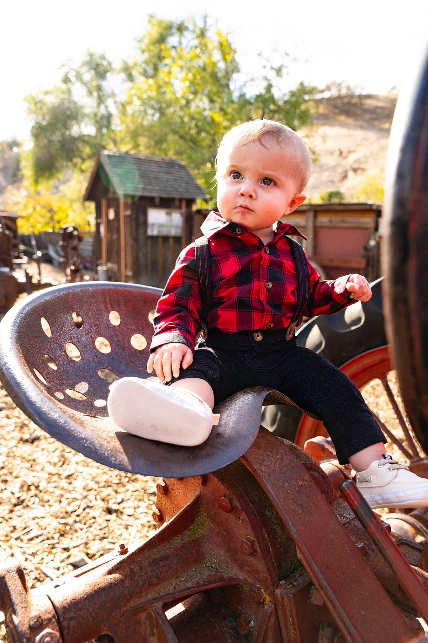 Nolan joined the competition — help win amazing prizes! baby, child, city, fun, grass, hairstyle, happy, human_settlement, leisure, pattern, person, plaid, plant, public_space, recreation, sitting, skin, tartan, toddler, tree