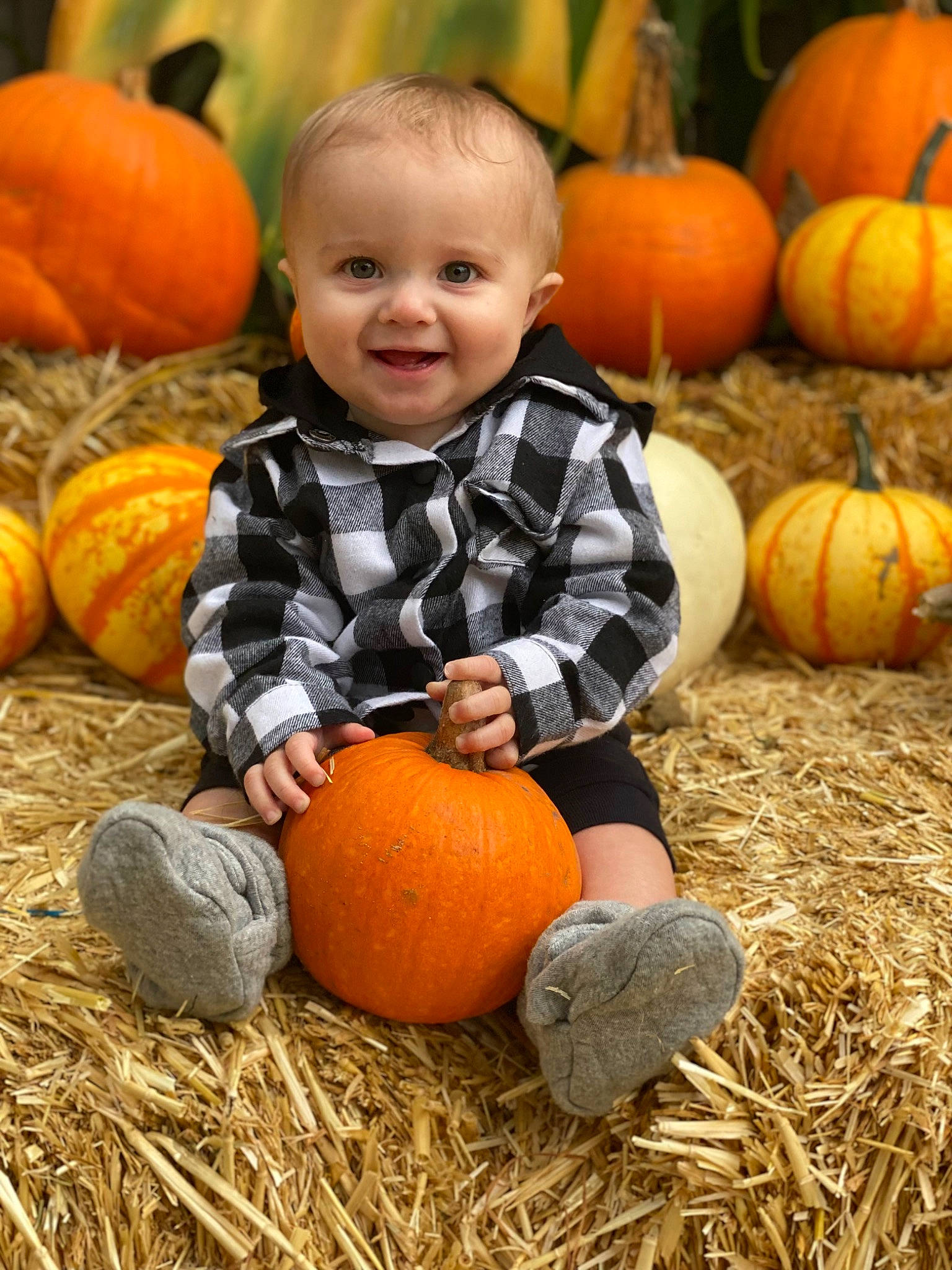 Nolan joined the competition — help win amazing prizes! calabaza, cucurbita, eye, facial_expression, gourd, grass, green, happy, head, joy, natural_foods, orange, people, people_in_nature, person, photograph, plant, pumpkin, smile, squash