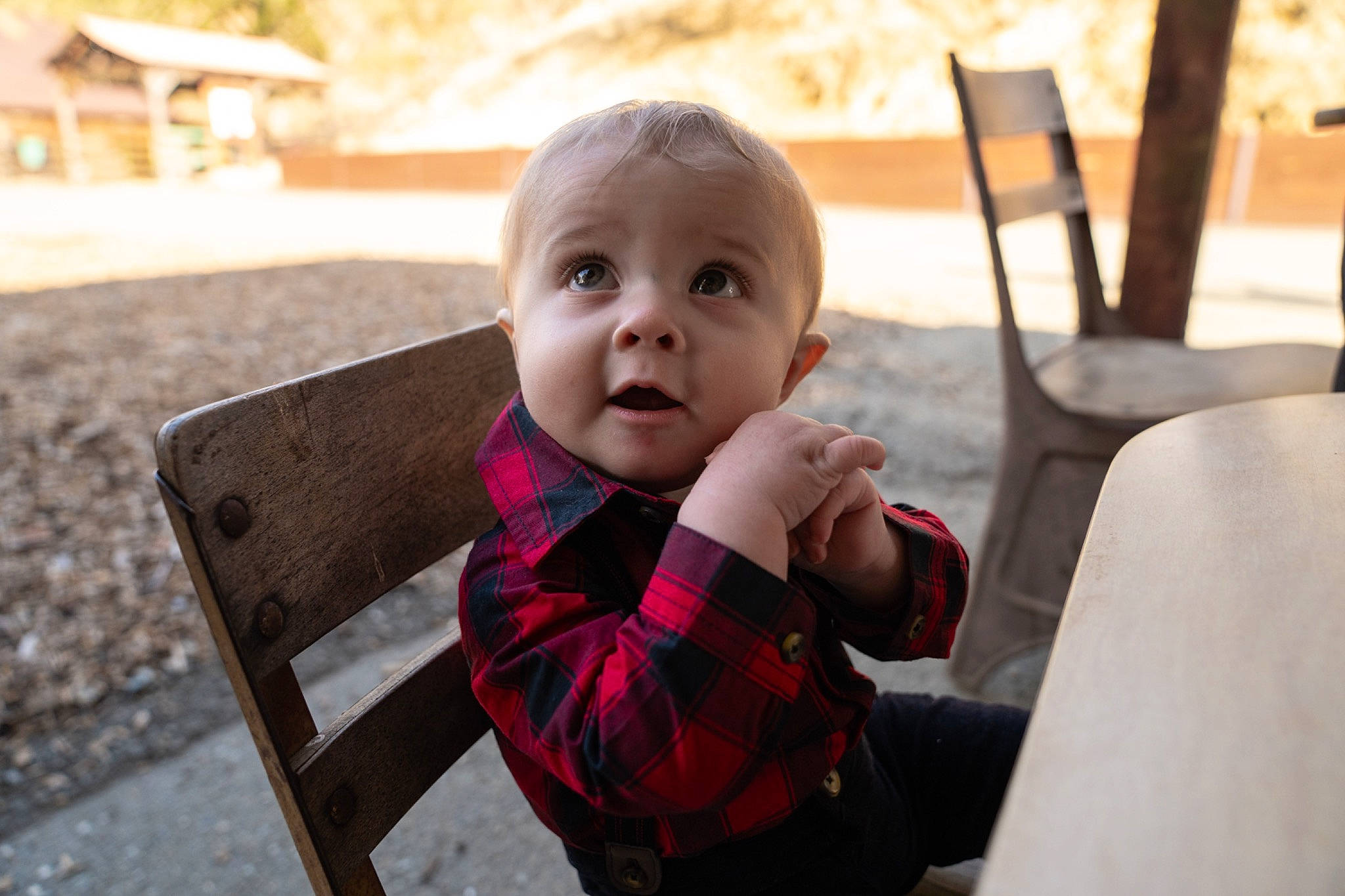 Nolan is registered to the contest to win money with this photo: baby, baby_toddler_clothing, chair, child, dress, event, fun, grass, happy, leisure, person, plaid, portrait_photography, recreation, sitting, skin, surprise, tartan, toddler, tree