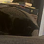 cat, black_cat, sleeping, indoor, books, stack, water_wipes, gray, texture, furniture, clutter, shadow, dim_light, cozy, resting, pet, animal, home, soft, quiet