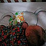 baby, sleeping, floral_clothing, infant, patterned_fabric, bed, blanket, head, person, resting, indoors, soft_lighting, close_up, peaceful, child, small_hand, colorful, fabric, quiet, nap