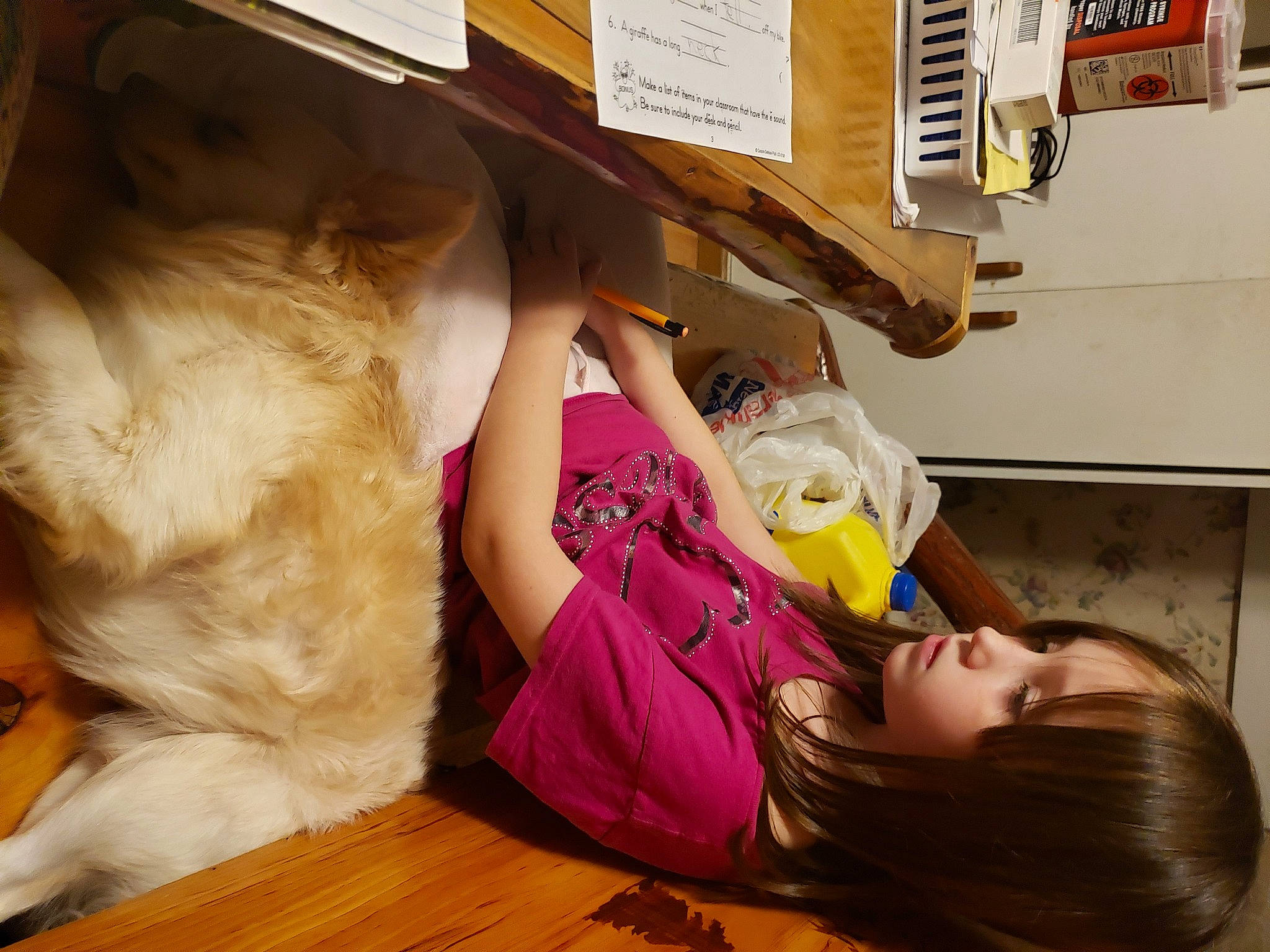 Diesel is registered to the contest to win money with this photo: baby, child, comfort, companion_dog, felidae, flooring, fun, fur, happy, hardwood, hat, leisure, paw, play, room, small_to_medium_sized_cats, stuffed_toy, tail, toddler, wood